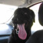 chucho
