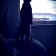 STONE ISLAND YASUHARU