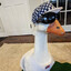 HonkBoi
