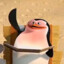 Skipper