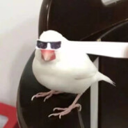 鸡块九块九块九