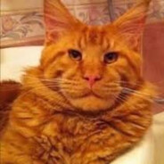 Ron Perlman Cat