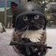Major Mittens.
