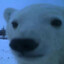 polarBear