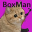 BoxMan