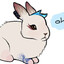 Rabbit? velk.ca
