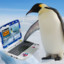 Penguin With A Laptop