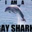 GAY SHARK