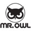 Mr.Owl