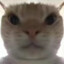 pysgwbsuip66