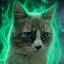 Jhonny