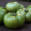 red tomato