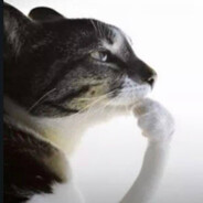 КМС ПО КУНИ