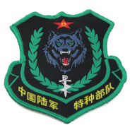 CPLASF突击手