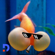 Ðʀᴇs