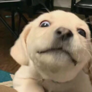 让星星发光发亮