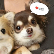 猫 x 妖の Θ常（