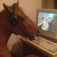 Skaiko