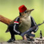 BirdWithHat