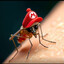 It&#039;s a me malario