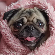 ꧁✪♕BOT♕✪꧂