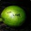 mr.lime