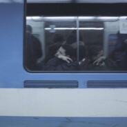 馨馨崽和清清崽