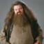 Rubeus Hagrid