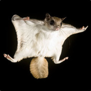 Flying Skwerl - steam id 76561197961446820