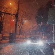 打豆豆的、小怪兽