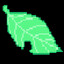Sinister_Leaf