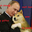 VladimirDoge