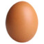 egg