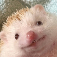 OpolePeek.𝒜𝓈𝓉𝓃𝒾𝓁 - steam id 76561199078711922