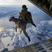 去睡觉做白日梦