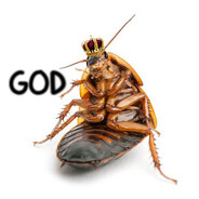 Roach God