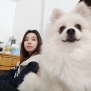 圆头圆脑圆肚皮