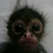 aniki - steam id 76561199110745732