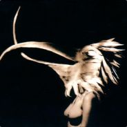 Flecke - steam id 76561197960469384