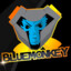 BLUEMONKEY