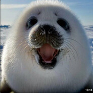 $ 丂山丨十乇尺口片 $