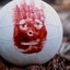 Wilson!!!