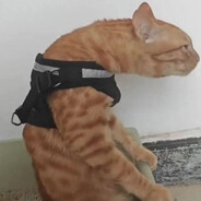 Kambur duruş avatarı