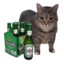 Alcoholic Cat