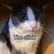 stinky