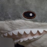 HasZPaN ¯\_(ツ)_/¯