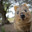 Quokkaz