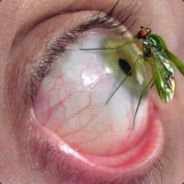 |$m0k!n|-[DK]ChickenShit-