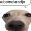 subemelaradjo