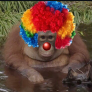 Oranguclown's avatar